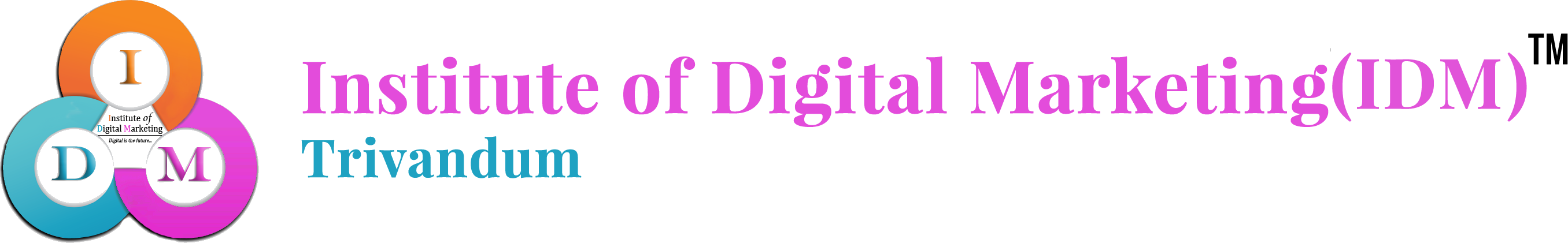 Institute of Digital Marketing, Trivandum